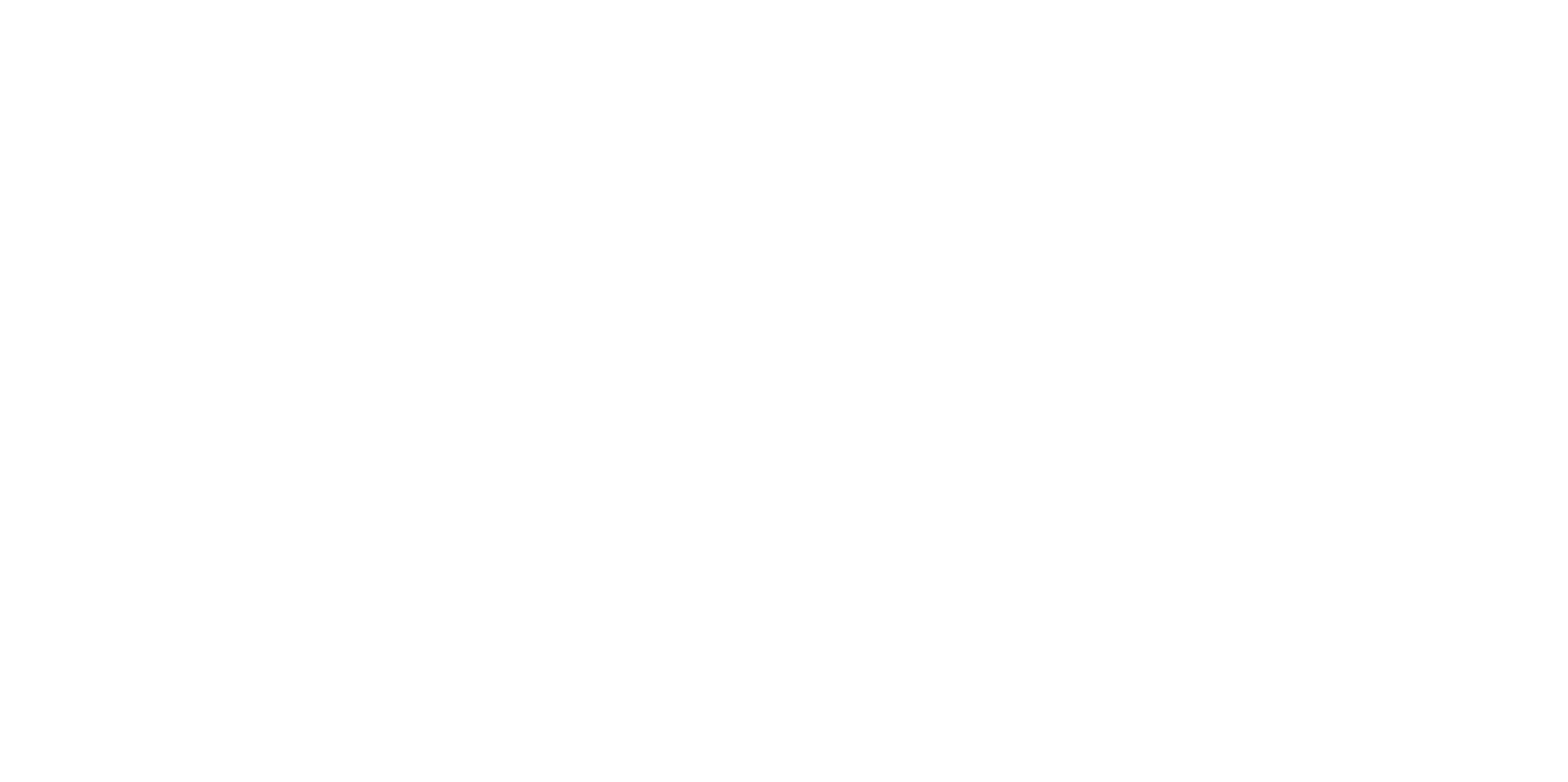 Lehner Versand - PUMA